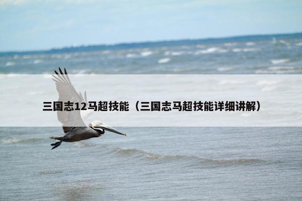 三国志12马超技能（三国志马超技能详细讲解）