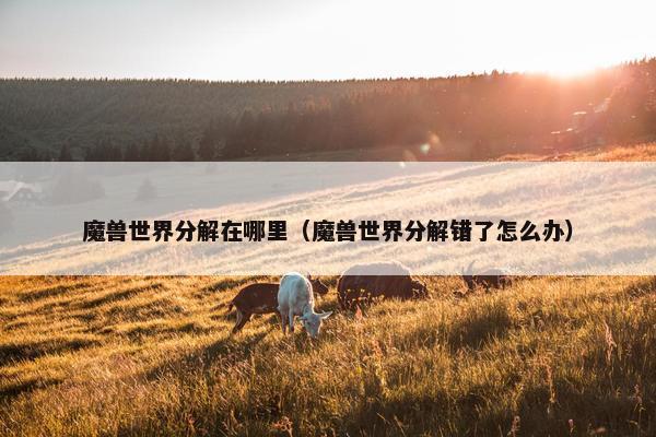 魔兽世界分解在哪里（魔兽世界分解错了怎么办）