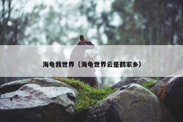 海龟我世界（海龟世界云是鹤家乡）