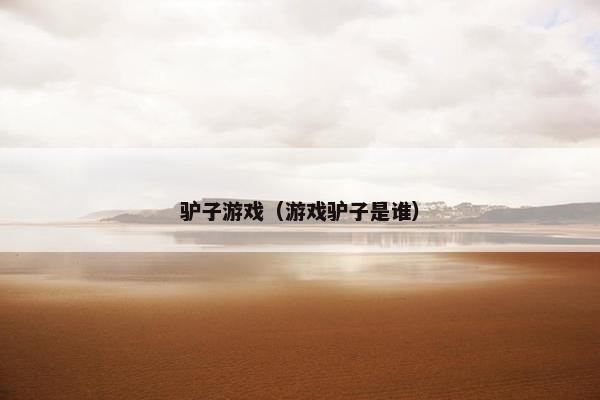 驴子游戏（游戏驴子是谁）