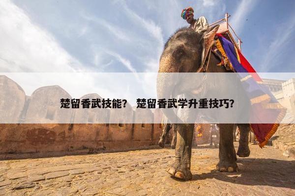 楚留香武技能？ 楚留香武学升重技巧？