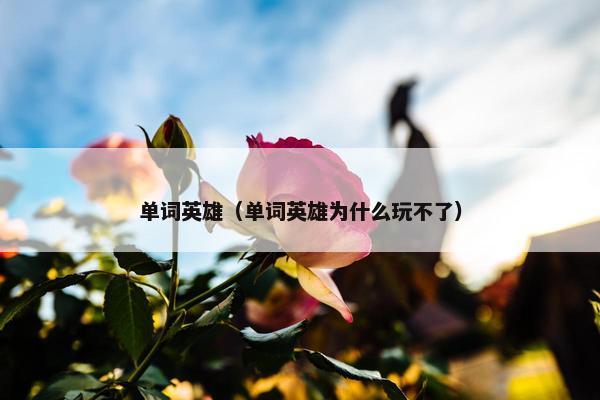 单词英雄（单词英雄为什么玩不了）