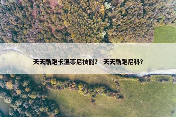 天天酷跑卡温蒂尼技能？ 天天酷跑尼科？