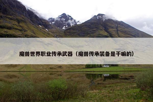 魔兽世界职业传承武器（魔兽传承装备是干嘛的）