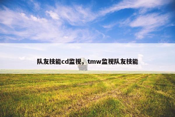 队友技能cd监视，tmw监视队友技能