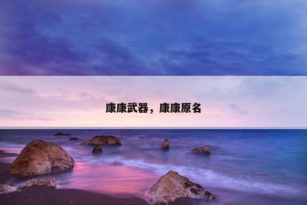 康康武器，康康原名