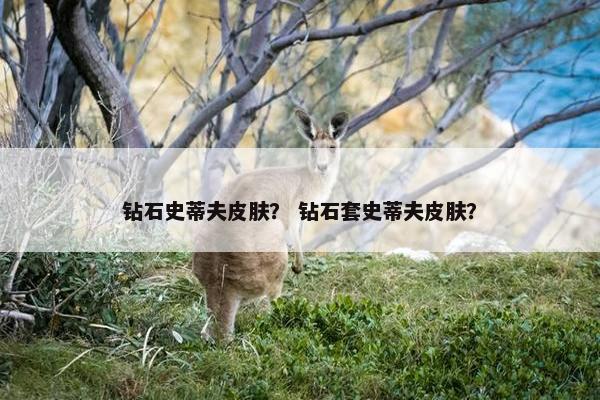 钻石史蒂夫皮肤？ 钻石套史蒂夫皮肤？