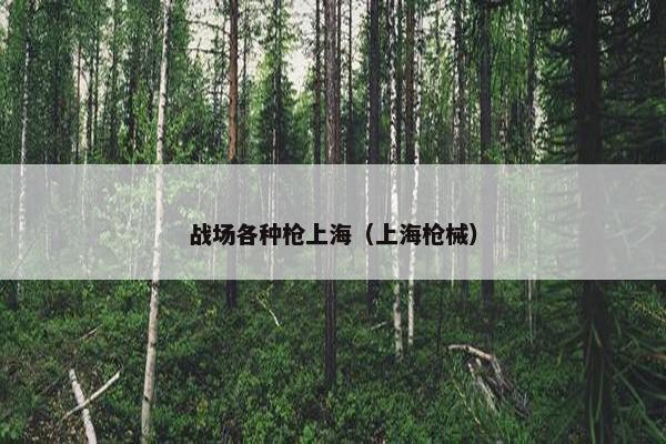 战场各种枪上海（上海枪械）