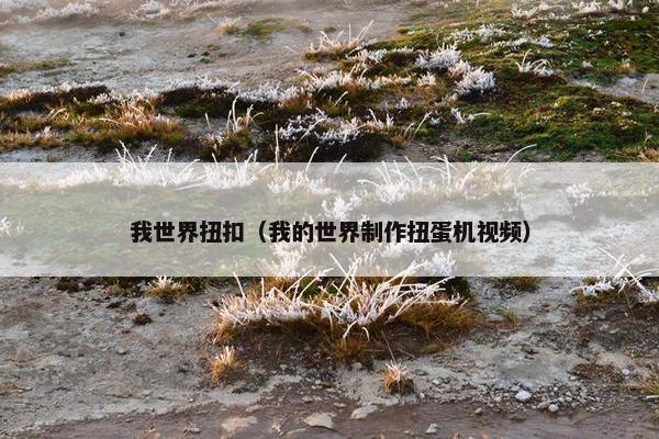 我世界扭扣（我的世界制作扭蛋机视频）
