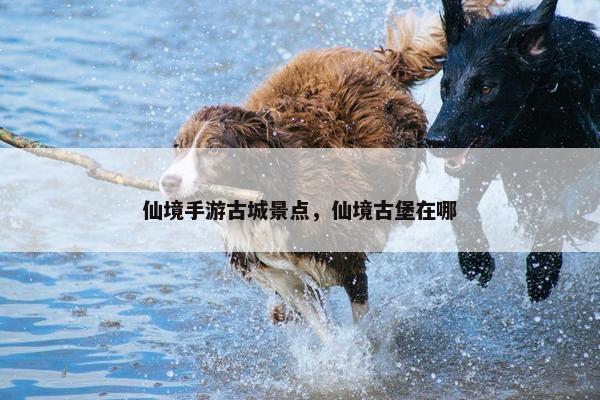 仙境手游古城景点，仙境古堡在哪