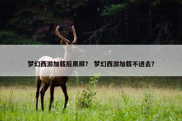 梦幻西游加载后黑屏？ 梦幻西游加载不进去？