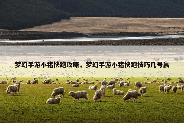 梦幻手游小猪快跑攻略，梦幻手游小猪快跑技巧几号赢