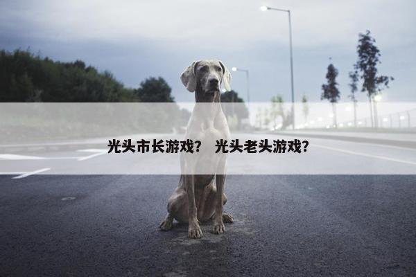 光头市长游戏？ 光头老头游戏？