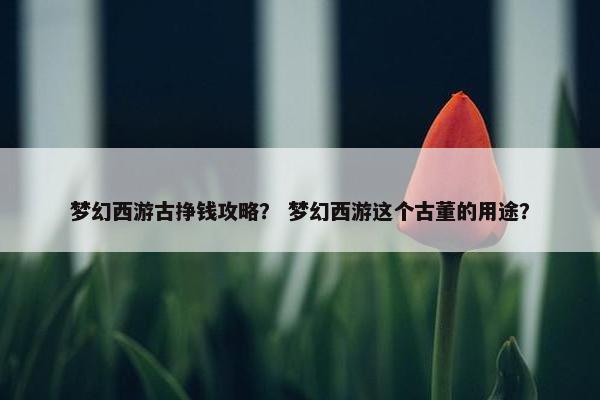 梦幻西游古挣钱攻略？ 梦幻西游这个古董的用途？
