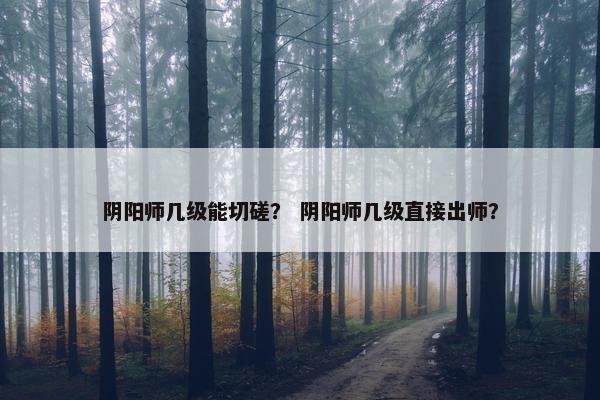 阴阳师几级能切磋？ 阴阳师几级直接出师？