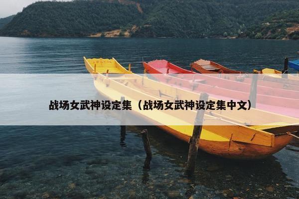 战场女武神设定集（战场女武神设定集中文）