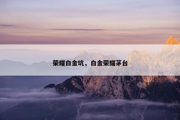荣耀白金坑，白金荣耀茅台