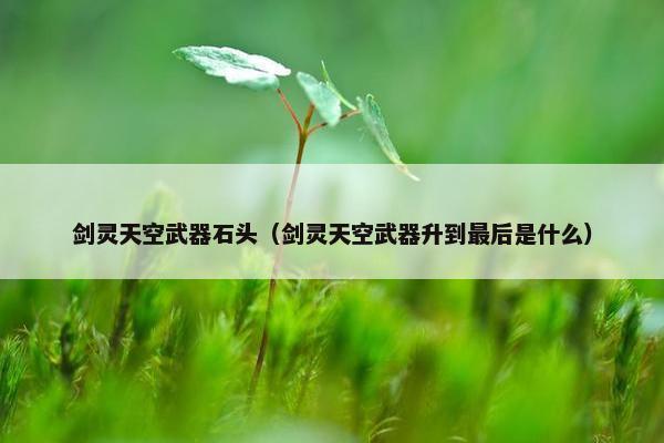 剑灵天空武器石头（剑灵天空武器升到最后是什么）