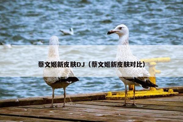 蔡文姬新皮肤DJ（蔡文姬新皮肤对比）