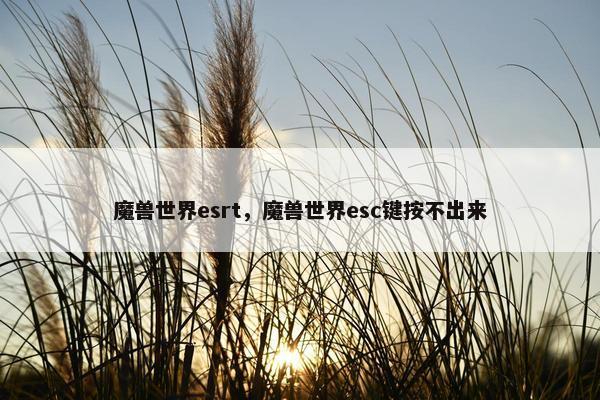 魔兽世界esrt，魔兽世界esc键按不出来