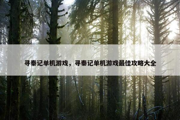 寻秦记单机游戏，寻秦记单机游戏最佳攻略大全
