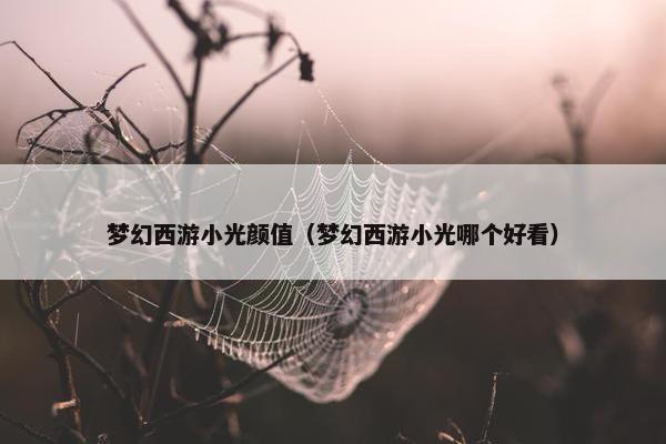 梦幻西游小光颜值（梦幻西游小光哪个好看）