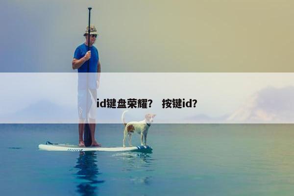 id键盘荣耀？ 按键id？
