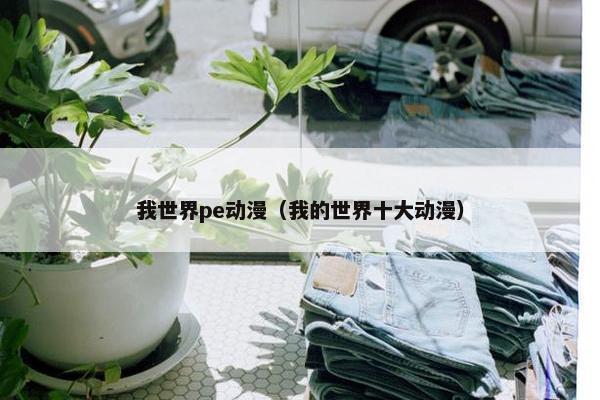 我世界pe动漫（我的世界十大动漫）