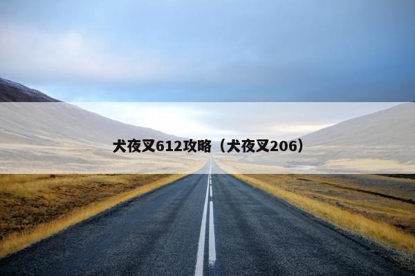 犬夜叉612攻略（犬夜叉206）