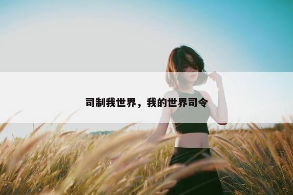 司制我世界，我的世界司令