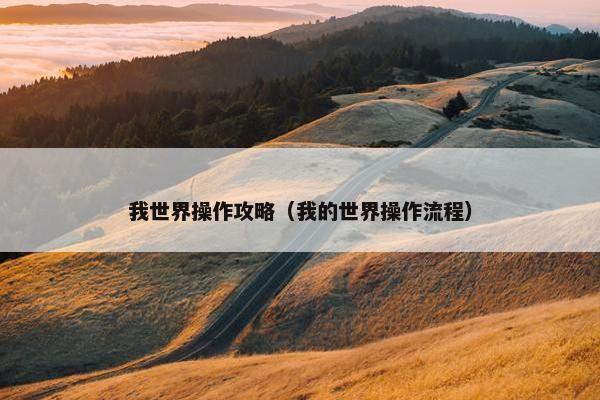 我世界操作攻略（我的世界操作流程）