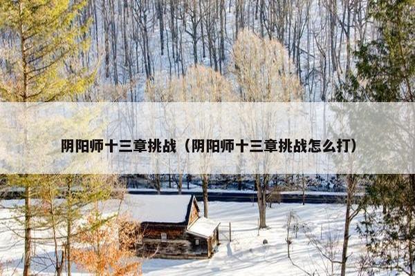 阴阳师十三章挑战（阴阳师十三章挑战怎么打）