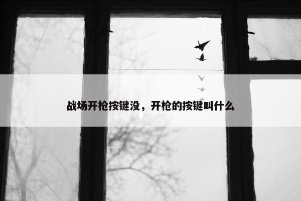 战场开枪按键没，开枪的按键叫什么