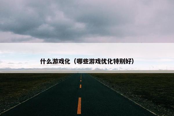 什么游戏化（哪些游戏优化特别好）