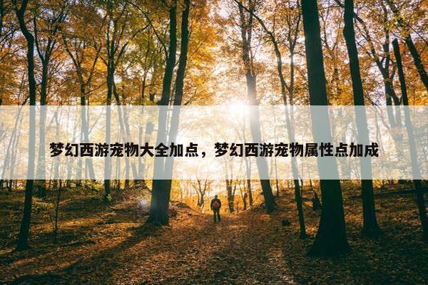 梦幻西游宠物大全加点，梦幻西游宠物属性点加成