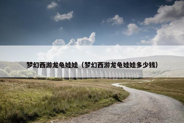 梦幻西游龙龟娃娃（梦幻西游龙龟娃娃多少钱）