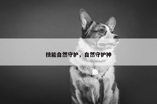 技能自然守护，自然守护神
