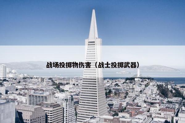 战场投掷物伤害（战士投掷武器）