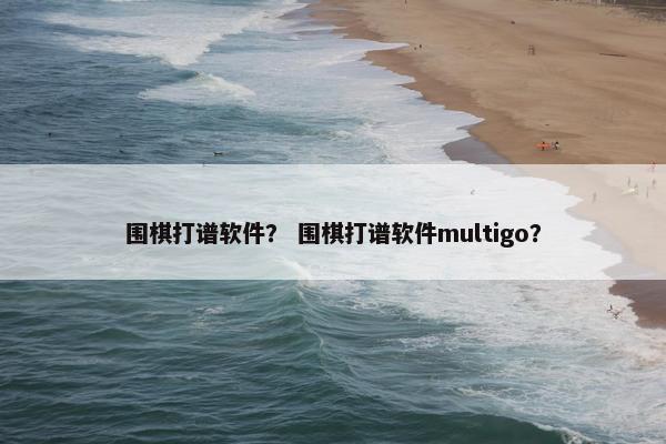 围棋打谱软件？ 围棋打谱软件multigo？