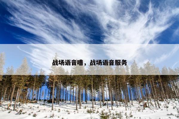 战场语音嘈，战场语音服务