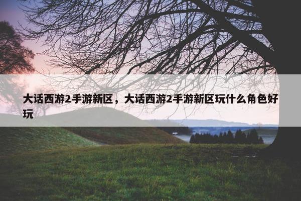 大话西游2手游新区，大话西游2手游新区玩什么角色好玩