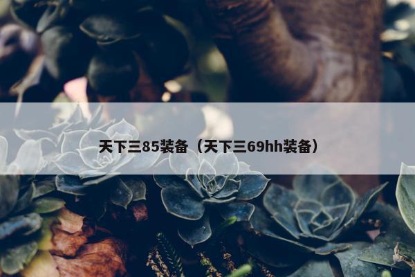 天下三85装备（天下三69hh装备）