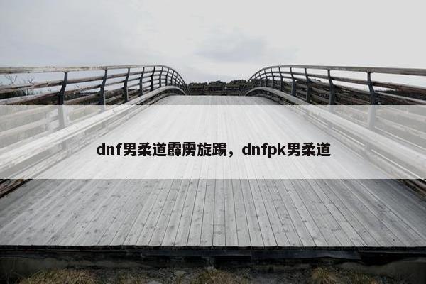 dnf男柔道霹雳旋踢，dnfpk男柔道