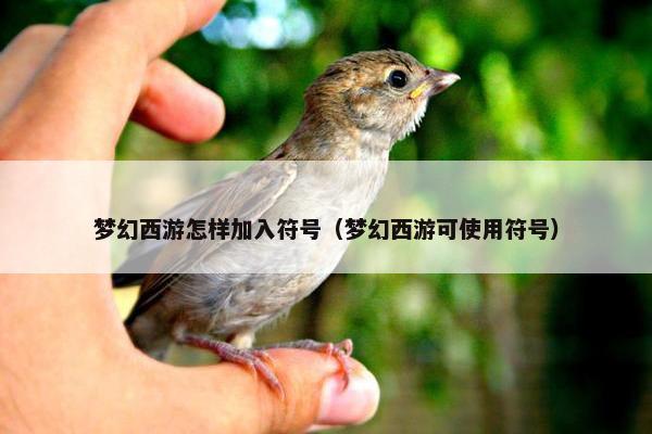 梦幻西游怎样加入符号（梦幻西游可使用符号）