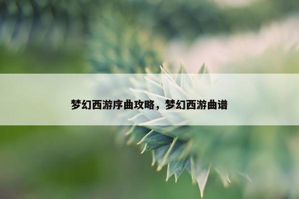梦幻西游序曲攻略，梦幻西游曲谱
