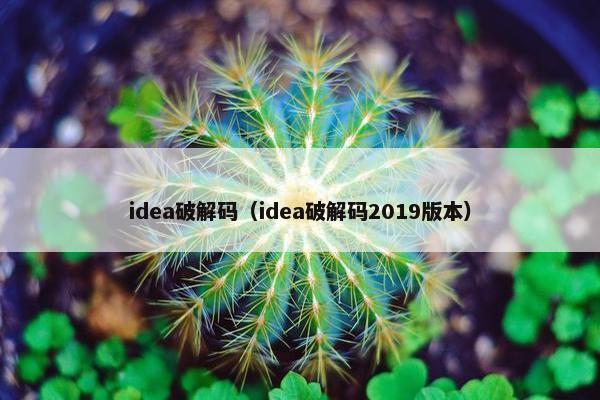 idea破解码（idea破解码2019版本）