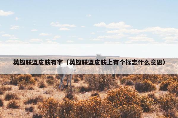 英雄联盟皮肤有字（英雄联盟皮肤上有个标志什么意思）