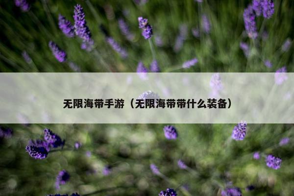 无限海带手游（无限海带带什么装备）