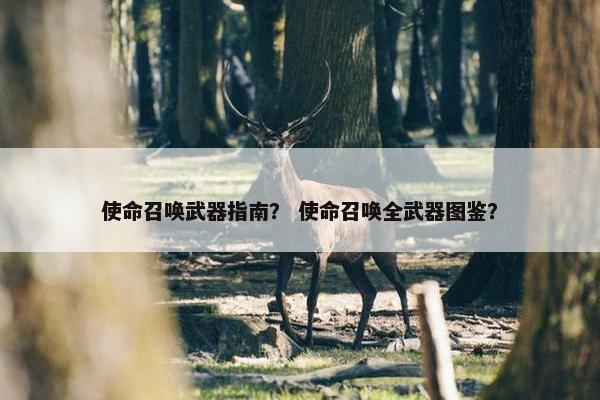 使命召唤武器指南？ 使命召唤全武器图鉴？