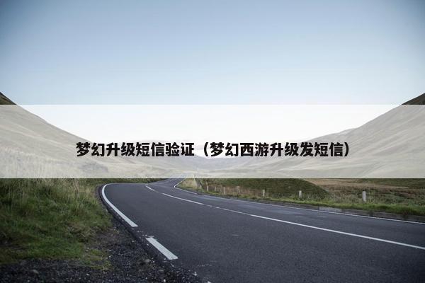 梦幻升级短信验证（梦幻西游升级发短信）
